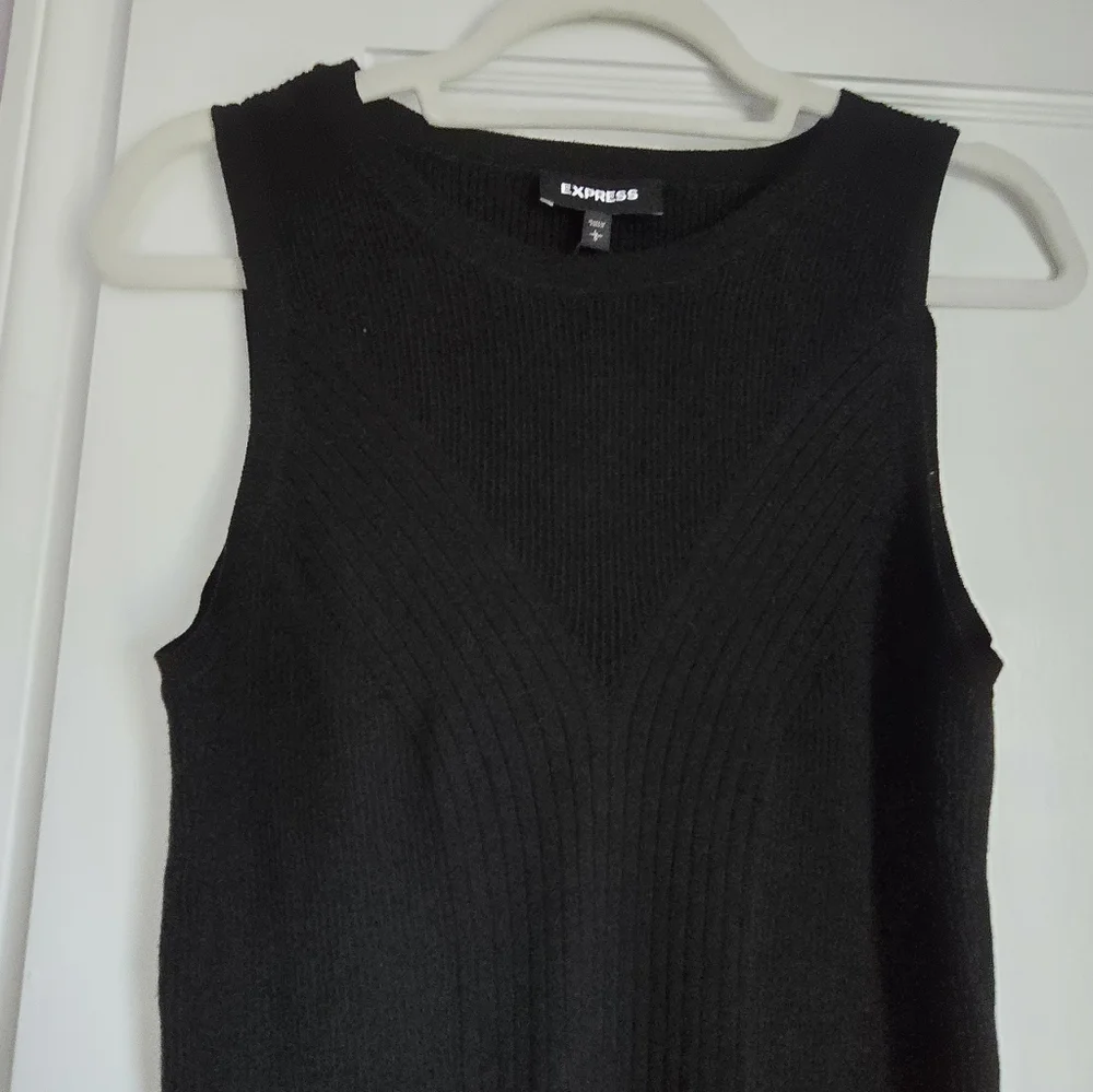 Express Sleeveless Sweater